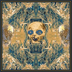 Kostnatení - Úpal 12" Lp