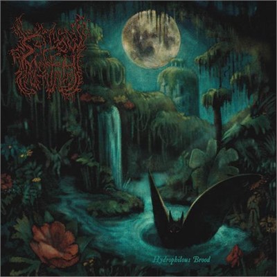 Sallow Moth - Hydrophilous Brood Lp